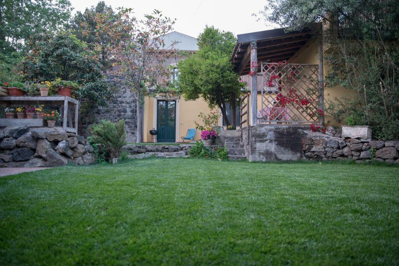 Il Pozzo E L'Ulivo - Just 200 Meters From The Metro - Villa Catania Exterior photo